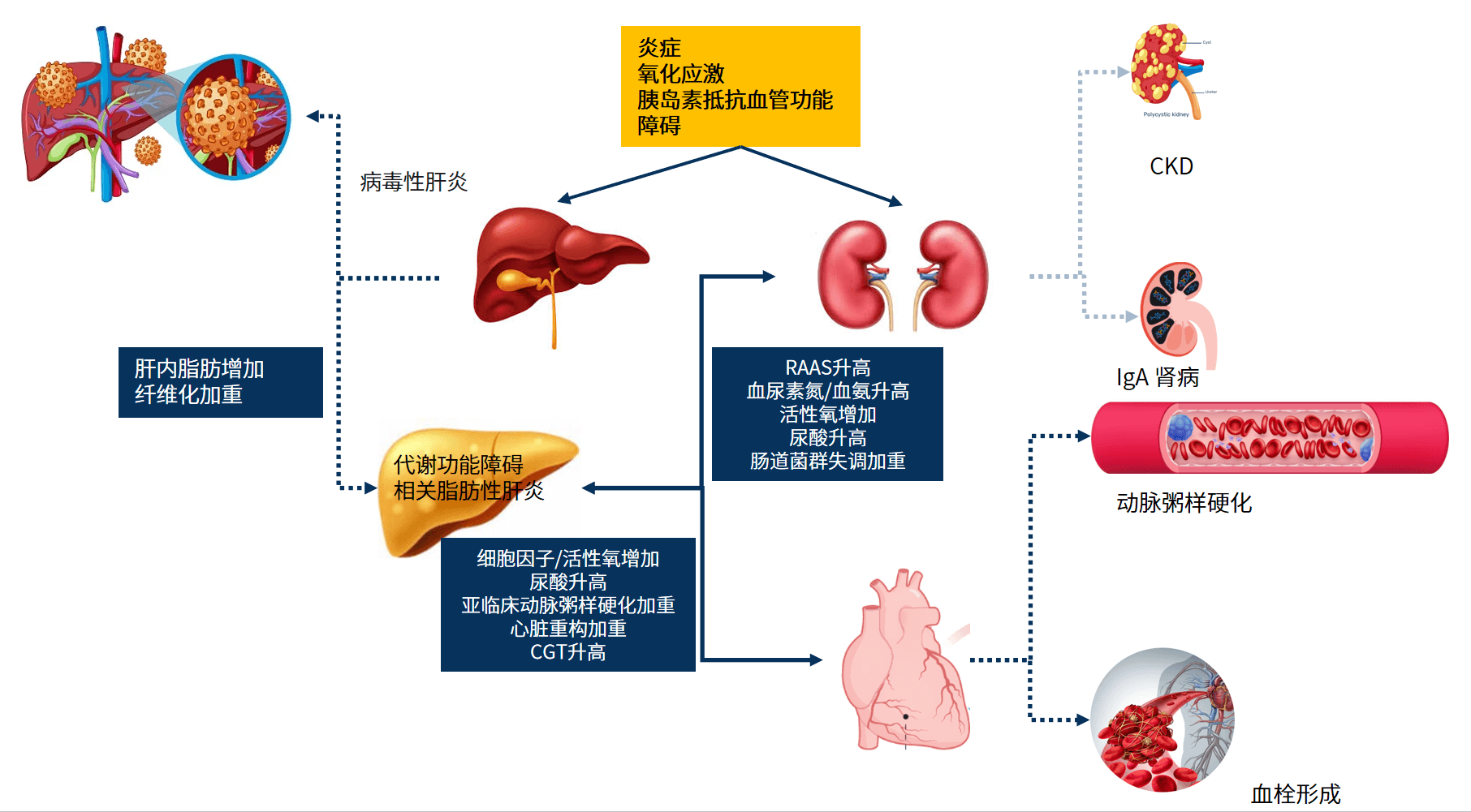 xc sports(中国区)-官方网站