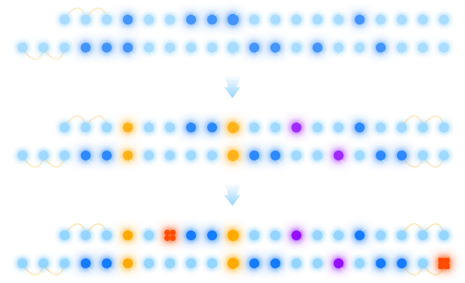 c2_img03.png